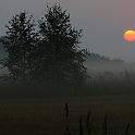 Previous image